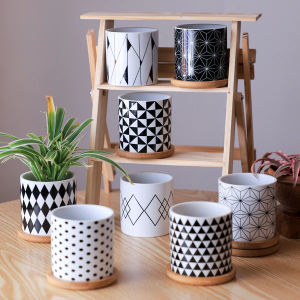 Ceramic Pots