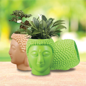 Buddha Pot