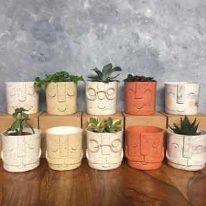 Face Pot